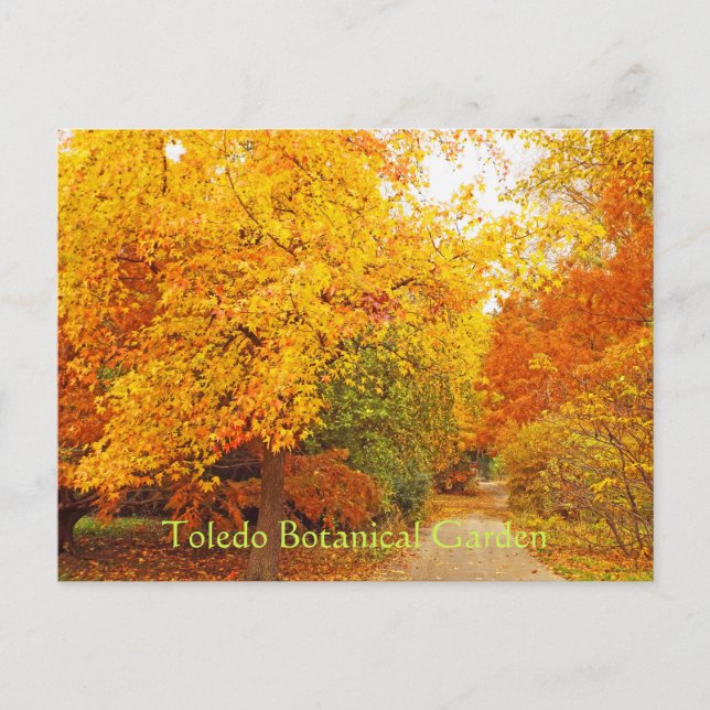 TARJETA POSTAL/JARDÍN BOTÁNICO DE TOLEDO/SENDERITO (Anverso)