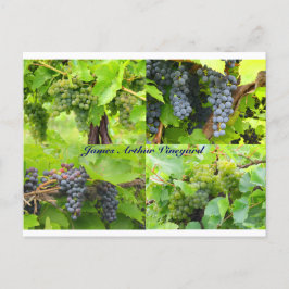 Tarjeta postal JAV Collage 2013 9