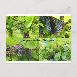 Tarjeta postal JAV Collage 2013 9