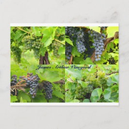 Tarjeta postal JAV Collage 2013 9