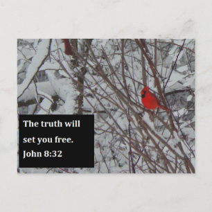 Tarjeta postal John 8:32 Scripture