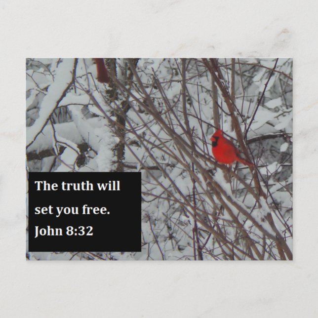 Tarjeta postal John 8:32 Scripture (Anverso)