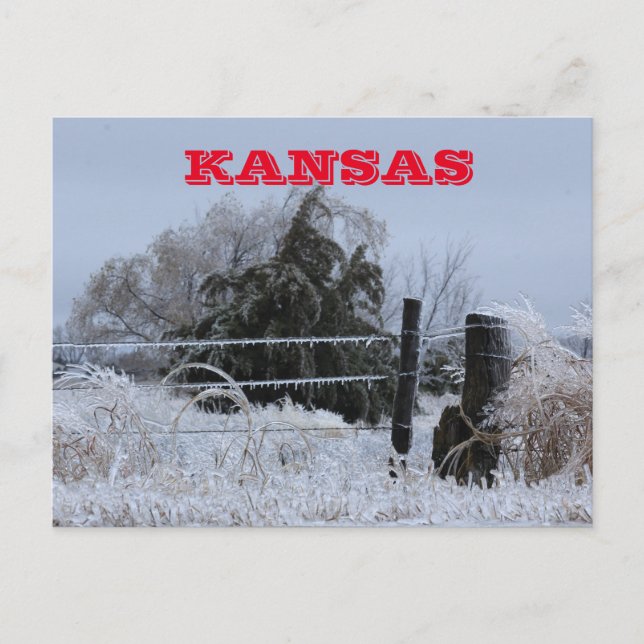 Tarjeta postal Kansas Icy Fence (Anverso)