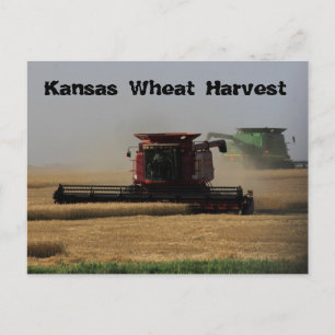 Tarjeta postal Kansas Wheat Harvest
