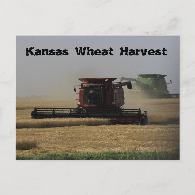 Tarjeta postal Kansas Wheat Harvest (Anverso)
