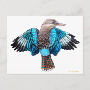 Tarjeta postal Kookaburra de ala azul