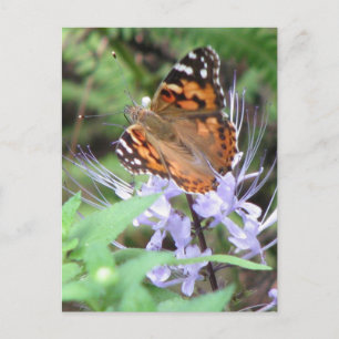 Tarjeta postal Lady pintada