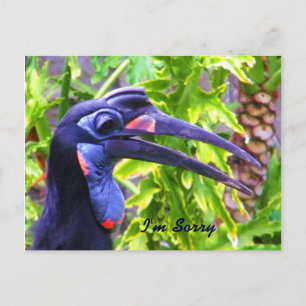 Tarjeta postal Lo siento/ Perdóname/ Te extraño