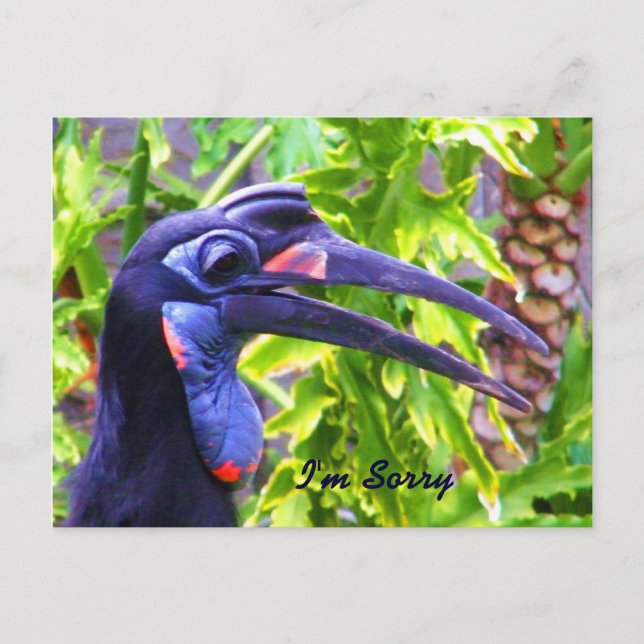 Tarjeta postal Lo siento/ Perdóname/ Te extraño (Anverso)