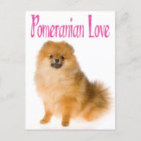 Tarjeta postal Love Pomeranian Puppy Dog Blank