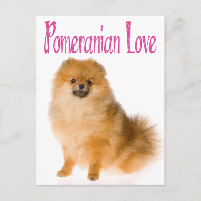 Tarjeta postal Love Pomeranian Puppy Dog Blank (Anverso)