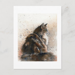 Tarjeta postal Maine Coon Cat