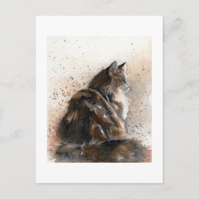 Tarjeta postal Maine Coon Cat (Anverso)