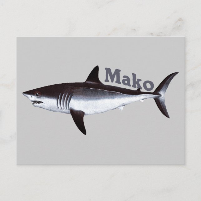 Tarjeta postal Mako Shark (Anverso)