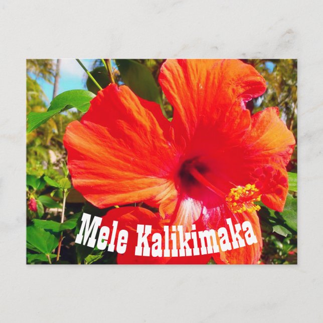 Tarjeta postal Mele Kalikimaka (Anverso)