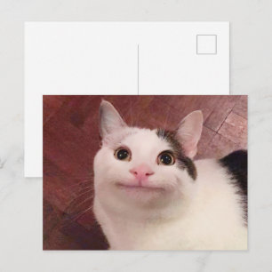 Tarjeta postal Meme del gato educado