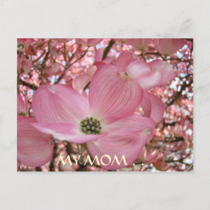 TARJETA POSTAL Mi Mamá Más Dulce Vida FLORES DE CO