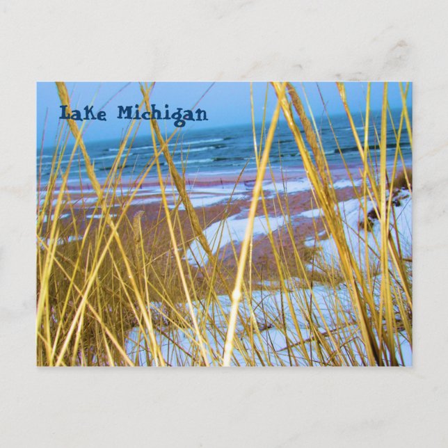 Tarjeta postal Michigan Dune Grass (Anverso)