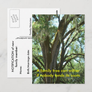 Tarjeta postal - Miembro de la nueva familia