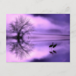 Tarjeta postal morada púrpura