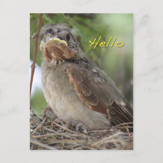 Tarjeta postal mundial de Hello
