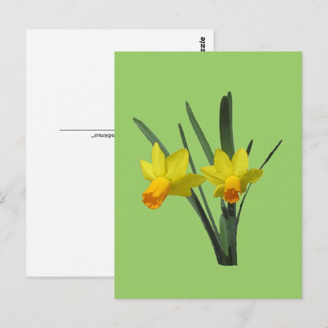 Tarjeta postal - Narciso (Anverso / Reverso)