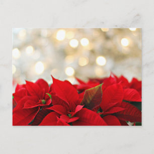 Tarjeta postal navideña con flores