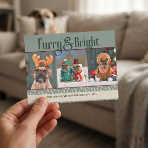 Tarjeta postal navideña de perro brillante y pelud