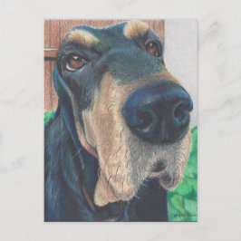 tarjeta postal negra