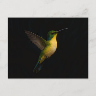 Tarjeta postal negra 4 Luxe con pájaro volador