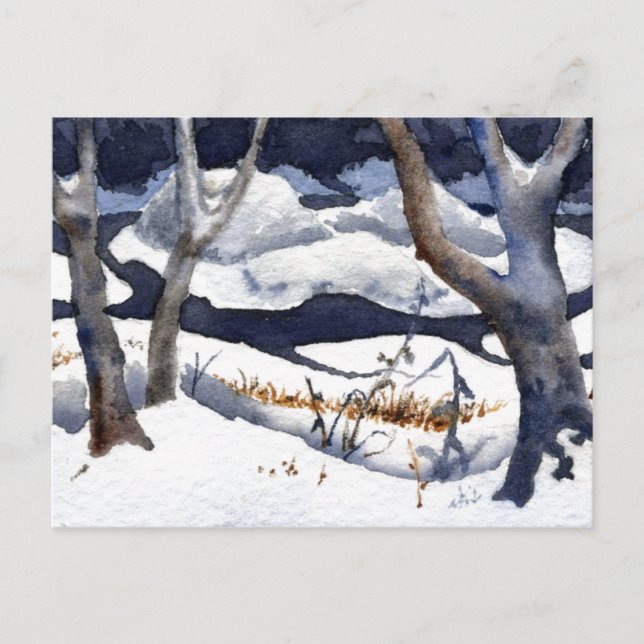 Tarjeta postal "Nieve sobre el sabio" (Anverso)