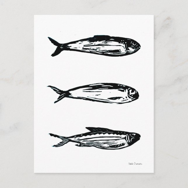Tarjeta postal o de impresión de Sardine y Mackere (Anverso)
