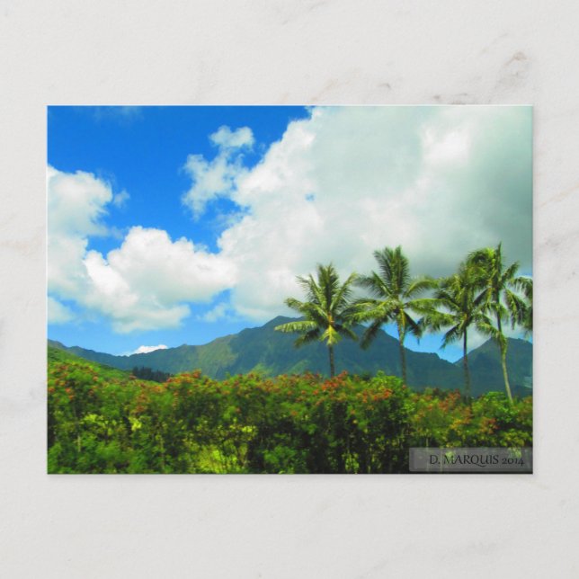 TARJETA POSTAL OAHU, HAWAII#6 (Anverso)