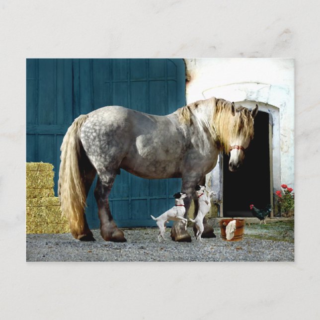 Tarjeta postal "Odin y los gemelos" (Anverso)