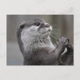 Tarjeta postal Otter Mastermind