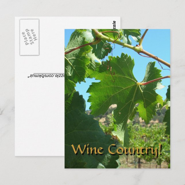 Tarjeta postal - País del vino (Anverso / Reverso)