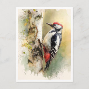 Tarjeta postal. Pájaro carpintero