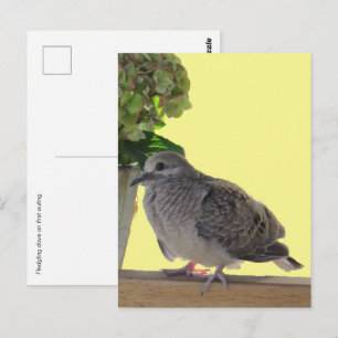 Tarjeta postal - Paloma joven