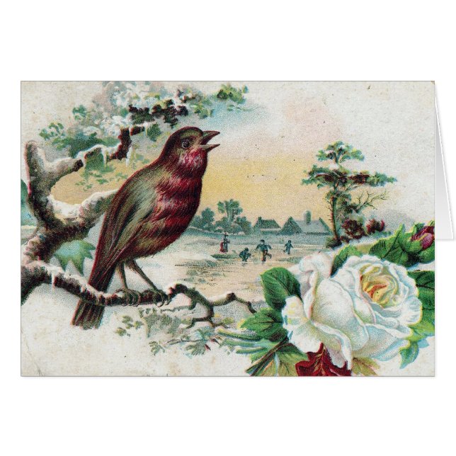 Tarjeta postal para aves de 1908 (Anverso (Horizontal))