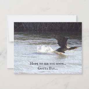 Tarjeta postal para aves divertidas