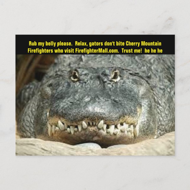 Tarjeta postal para bomberos de las montañas de ce (Anverso)