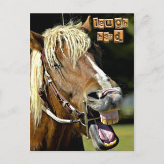 Tarjeta postal para caballos riéndose