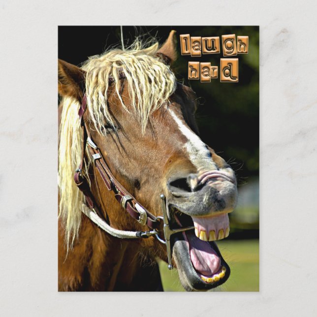 Tarjeta postal para caballos riéndose (Anverso)