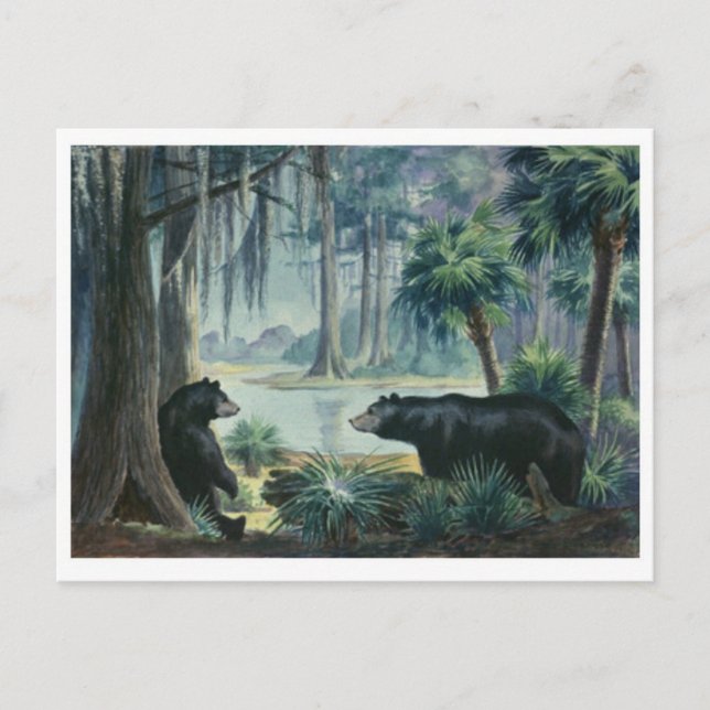 Tarjeta postal para el diagnóstico del oso negro (Anverso)