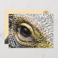 Tarjeta postal para el monitor de cocodrilo Lizard