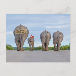 Tarjeta postal para elefantes en viaje