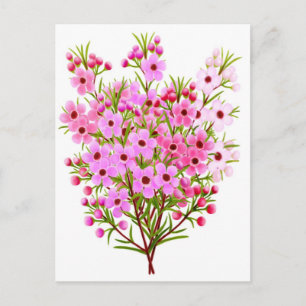 Tarjeta postal para flores de cera