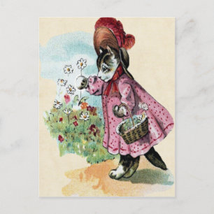 Tarjeta postal para gatitos