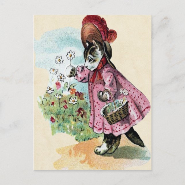 Tarjeta postal para gatitos (Anverso)