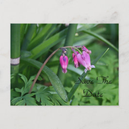 Tarjeta postal para guardar la fecha